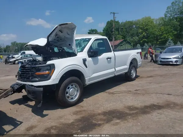 1FTMF1LP5RKF07993 2024 FORD F-150 - Image 2