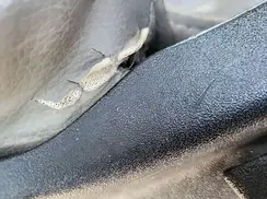1FTNF1C59KKD85048 2019 FORD F-150