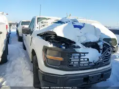 1FTNF1L85RKD47207 2024 FORD F-150