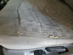 1FTRF3B68GED00083 2016 FORD F350