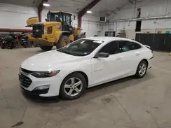1G1ZB5ST1KF205776 2019 CHEVROLET MALIBU