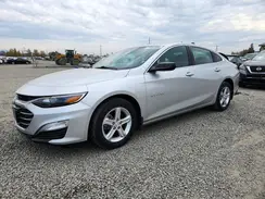 1G1ZB5ST2KF172657 2019 CHEVROLET MALIBU