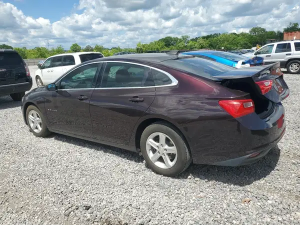 1G1ZB5ST3LF018489 2020 CHEVROLET MALIBU - Image 2