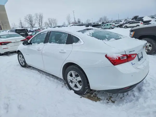 1G1ZB5ST5RF156849 2024 CHEVROLET MALIBU - Image 2