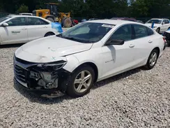 1G1ZB5ST6KF122974 2019 CHEVROLET MALIBU