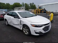 1G1ZB5ST6KF133067 2019 CHEVROLET MALIBU