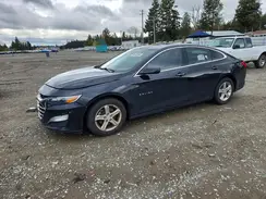 1G1ZB5ST6KF223755 2019 CHEVROLET MALIBU