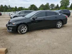 1G1ZB5ST7HF229055 2017 CHEVROLET MALIBU
