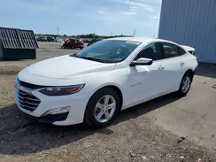 1G1ZB5ST8RF246075 2024 CHEVROLET MALIBU