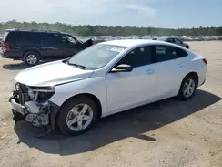 1G1ZB5ST9KF123536 2019 CHEVROLET MALIBU