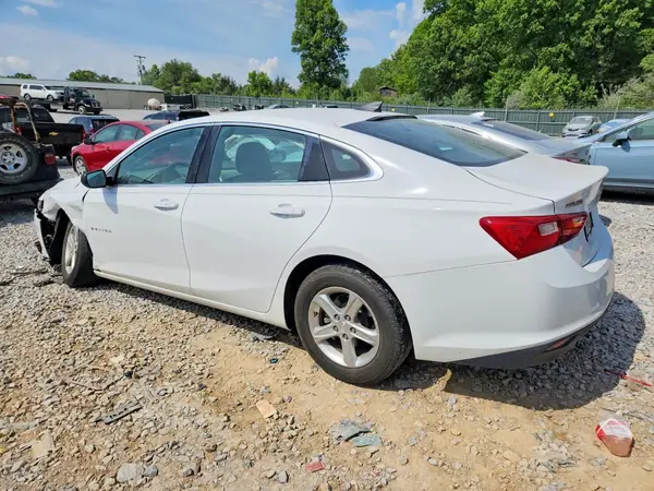 1G1ZB5ST9KF191206 2019 CHEVROLET MALIBU - Image 2
