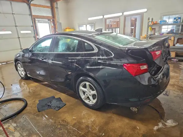 1G1ZB5STXHF258100 2017 CHEVROLET MALIBU - Image 2