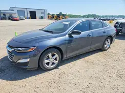 1G1ZB5STXKF206599 2019 CHEVROLET MALIBU