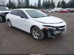 1G1ZB5STXKF224455 2019 CHEVROLET MALIBU