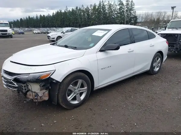 1G1ZB5STXKF224455 2019 CHEVROLET MALIBU - Image 2