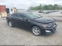 1G1ZB5STXKF224925 2019 CHEVROLET MALIBU