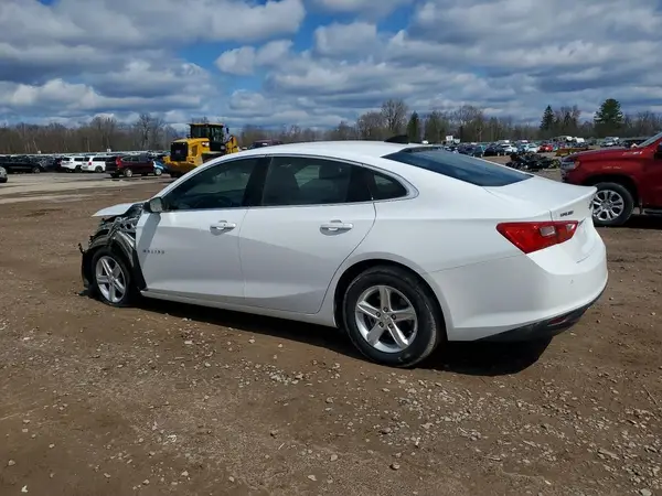 1G1ZB5STXRF126262 2024 CHEVROLET MALIBU - Image 2