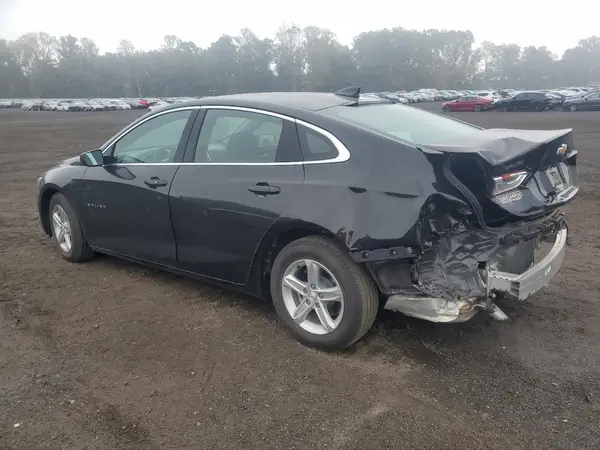 1G1ZB5STXRF183805 2024 CHEVROLET MALIBU - Image 2