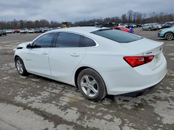 1G1ZC5ST1RF150172 2024 CHEVROLET MALIBU - Image 2