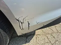 1G1ZC5ST3NF165086 2022 CHEVROLET MALIBU