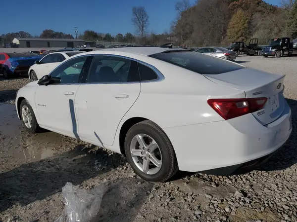 1G1ZC5ST5RF226735 2024 CHEVROLET MALIBU - Image 2