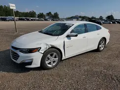 1G1ZC5ST7RF177649 2024 CHEVROLET MALIBU