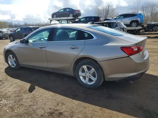 1G1ZC5ST8RF241102 2024 CHEVROLET MALIBU - Image 2
