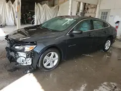 1G1ZC5STXKF171124 2019 CHEVROLET MALIBU