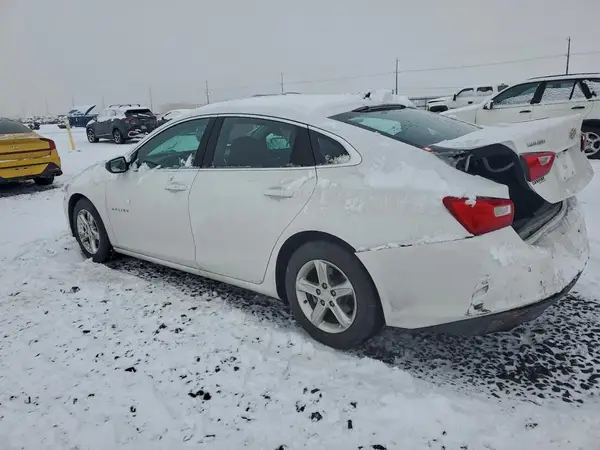 1G1ZC5STXPF148949 2023 CHEVROLET MALIBU - Image 2