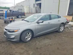 1G1ZC5STXRF117347 2024 CHEVROLET MALIBU
