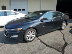 1G1ZD5ST0PF191659 2023 CHEVROLET MALIBU