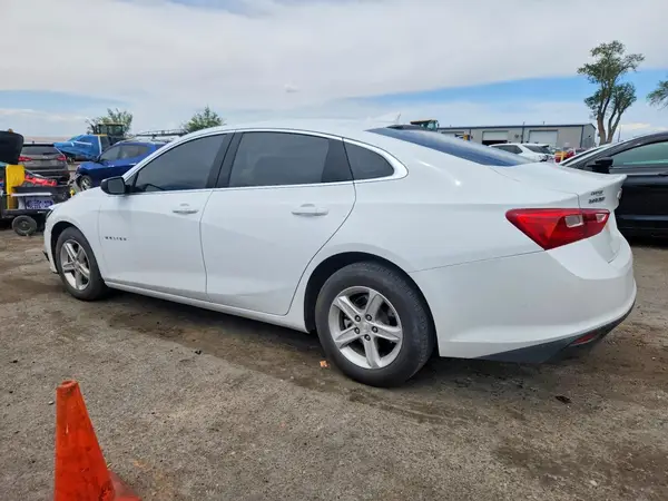 1G1ZD5ST0PF204376 2023 CHEVROLET MALIBU - Image 2
