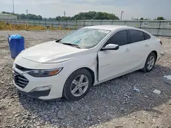 1G1ZD5ST0RF121646 2024 CHEVROLET MALIBU