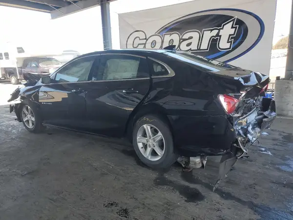1G1ZD5ST0RF178364 2024 CHEVROLET MALIBU - Image 2