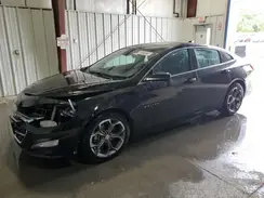 1G1ZD5ST0RF210844 2024 CHEVROLET MALIBU