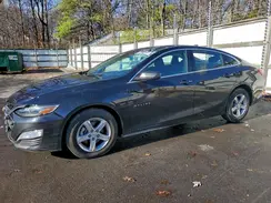 1G1ZD5ST0RF213422 2024 CHEVROLET MALIBU