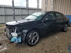 1G1ZD5ST0RF226591 2024 CHEVROLET MALIBU