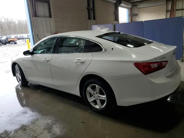 1G1ZD5ST0RF233203 2024 CHEVROLET MALIBU - Image 2