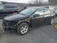 1G1ZD5ST1PF183411 2023 CHEVROLET MALIBU