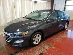 1G1ZD5ST1PF205004 2023 CHEVROLET MALIBU