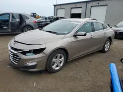 1G1ZD5ST1RF125799 2024 CHEVROLET MALIBU