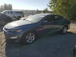 1G1ZD5ST1RF209489 2024 CHEVROLET MALIBU