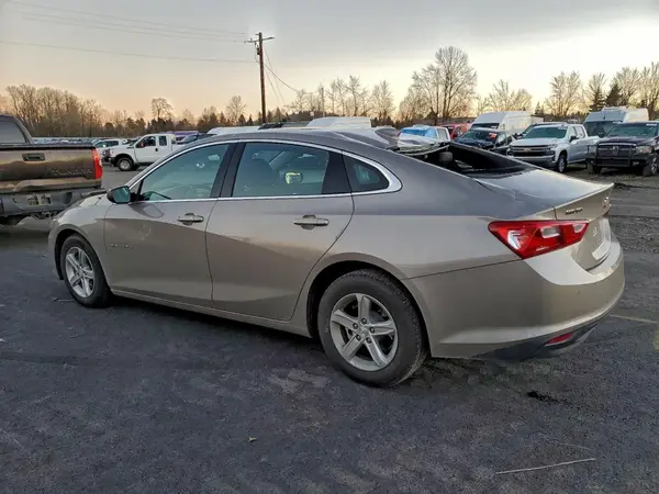 1G1ZD5ST1RF217138 2024 CHEVROLET MALIBU - Image 2