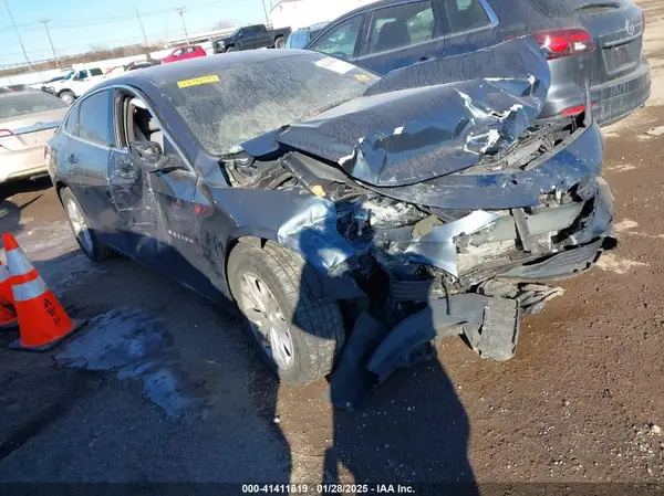 1G1ZD5ST2KF169896 2019 CHEVROLET MALIBU - Image 1