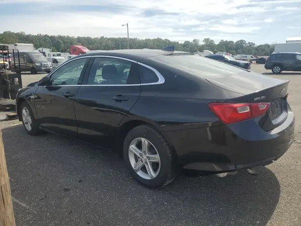 1G1ZD5ST2PF203035 2023 CHEVROLET MALIBU - Image 2