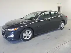 1G1ZD5ST2PF244992 2023 CHEVROLET MALIBU