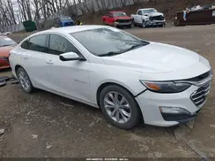 1G1ZD5ST3KF125924 2019 CHEVROLET MALIBU