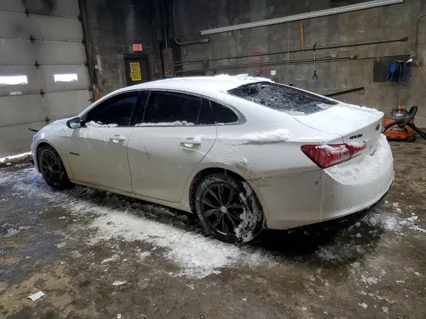 1G1ZD5ST3KF206843 2019 CHEVROLET MALIBU - Image 2