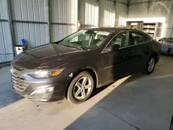 1G1ZD5ST3PF160731 2023 CHEVROLET MALIBU