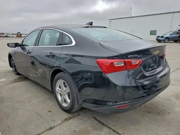 1G1ZD5ST3PF166934 2023 CHEVROLET MALIBU - Image 2